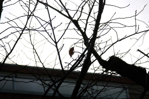 IMG_7302.jpegのサムネール画像