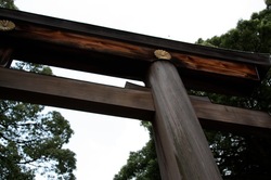 IMG_3401.jpegのサムネール画像