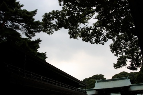 IMG_3405.jpegのサムネール画像