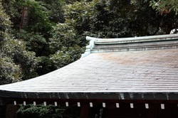 IMG_3406.jpegのサムネール画像