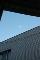 IMG_5770.JPGのサムネール画像