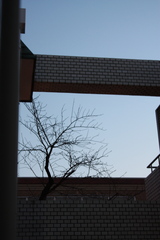 IMG_5773.JPGのサムネール画像