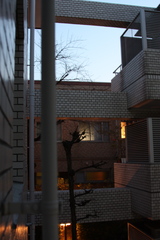 IMG_5774.JPGのサムネール画像