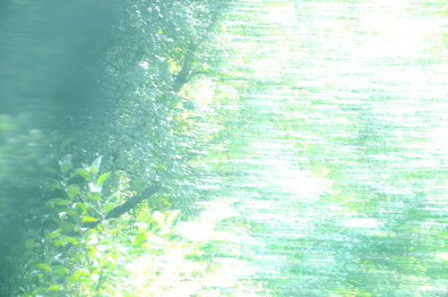 DSC_0184.JPGのサムネール画像