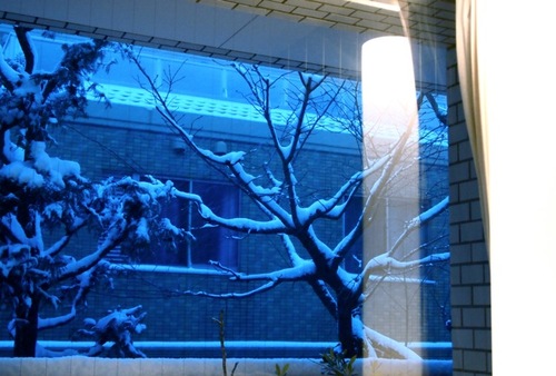 P1014472.jpegのサムネール画像