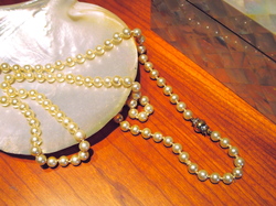 P1014748.JPGのサムネール画像