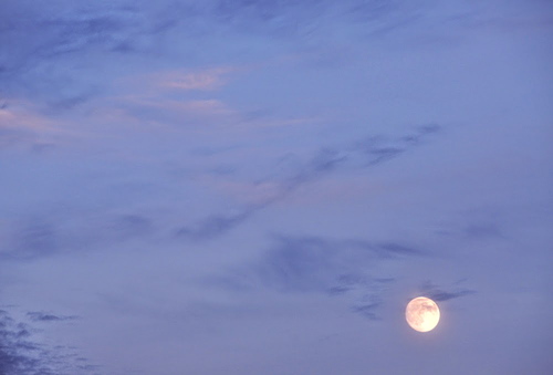 kuu.jpgのサムネール画像