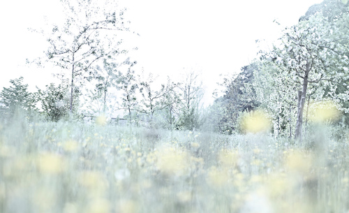 slide01.jpgのサムネール画像