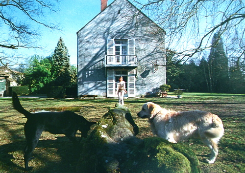 P9220953.JPGのサムネール画像