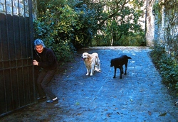 P1014552.JPGのサムネール画像