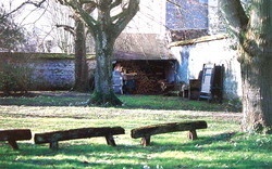 P1014558.JPGのサムネール画像