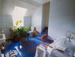 P1014581.JPG.JPGのサムネール画像