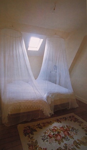 P1014584.JPG.JPGのサムネール画像