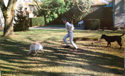 P9220956.JPGのサムネール画像