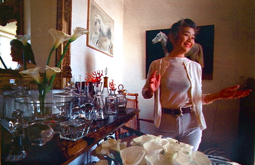 P9220957.JPGのサムネール画像