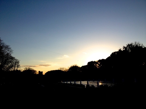 IMG_5784.JPGのサムネール画像