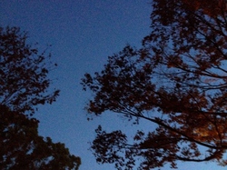 IMG_5858.JPGのサムネール画像