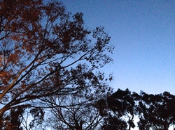 IMG_5859.JPGのサムネール画像