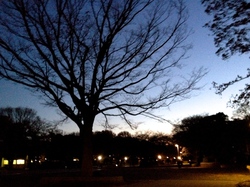 IMG_5860.JPGのサムネール画像