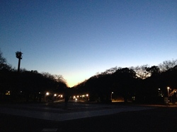 IMG_5863.JPGのサムネール画像