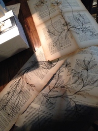 IMG_5952.jpgのサムネール画像