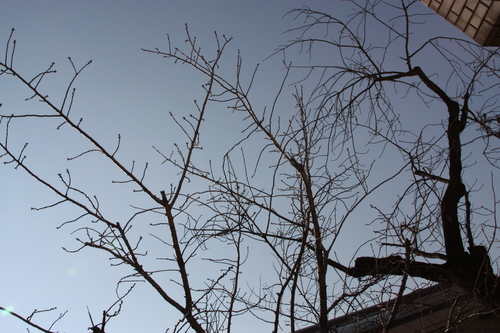 IMG_7717.JPGのサムネール画像