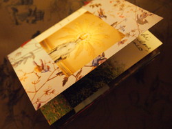 P1014965.JPGのサムネール画像