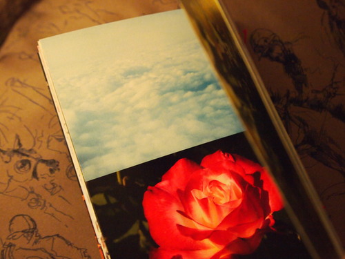 P1014967.JPGのサムネール画像