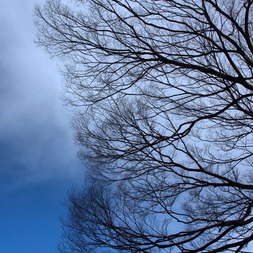 IMG_6578.JPGのサムネール画像