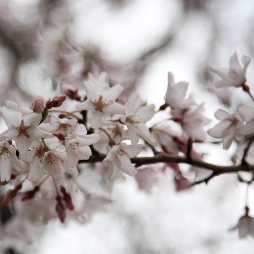 IMG_6592.JPGのサムネール画像