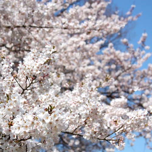 IMG_6596.JPGのサムネール画像