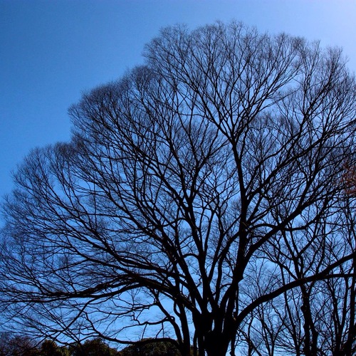 IMG_6604.JPGのサムネール画像