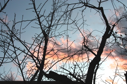 IMG_7873.JPGのサムネール画像