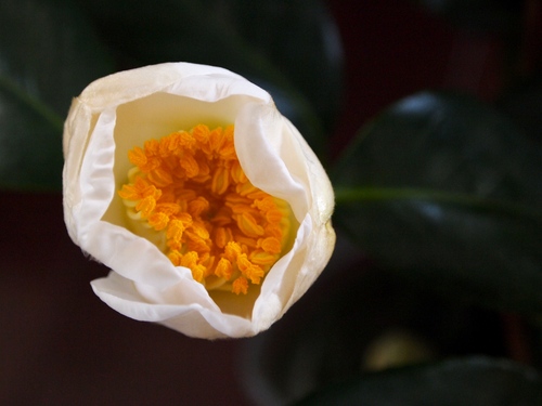 P1014448.JPG.JPGのサムネール画像