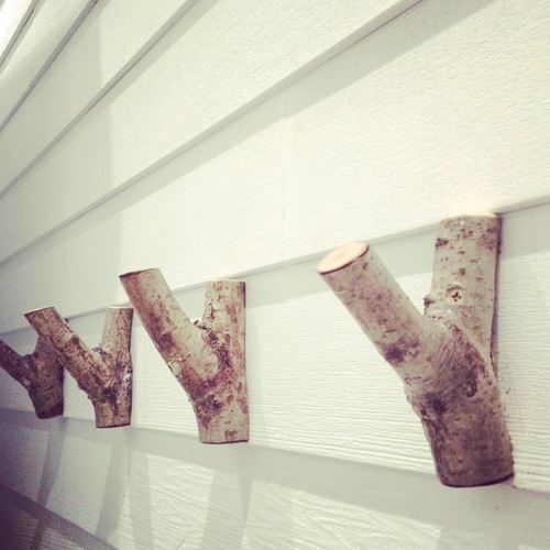 IMG_6710.JPGのサムネール画像