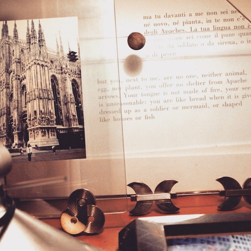 IMG_6742.JPGのサムネール画像