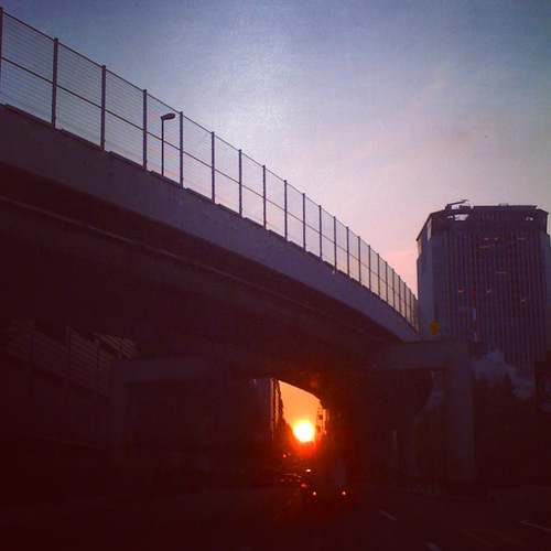 IMG_6979_2.JPGのサムネール画像