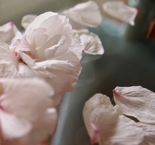 IMG_7028.JPGのサムネール画像