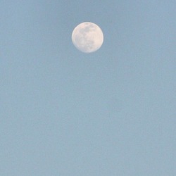 IMG_7614.JPGのサムネール画像