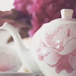 IMG_7847.JPGのサムネール画像