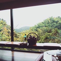 IMG_8337.JPGのサムネール画像