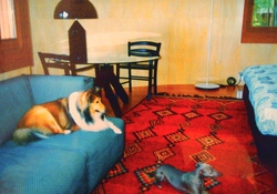 P3271961.JPGのサムネール画像