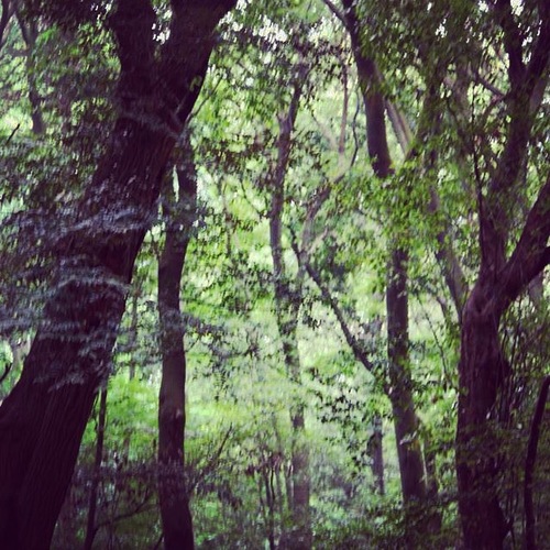 IMG_7961.JPGのサムネール画像