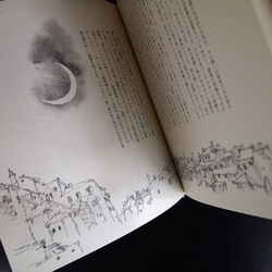 IMG_8742.JPGのサムネール画像