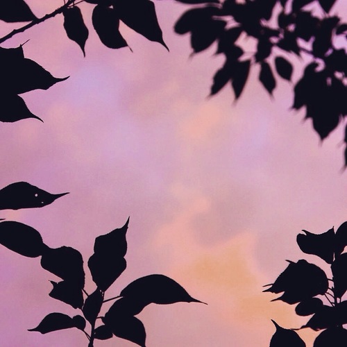 IMG_8836.JPGのサムネール画像