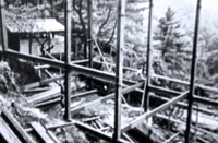 P1015257.JPGのサムネール画像