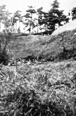 P1015258.JPGのサムネール画像