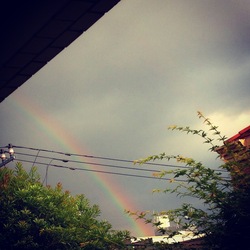 IMG_8428.JPGのサムネール画像