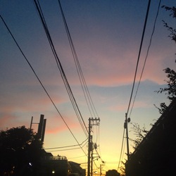 IMG_8564.JPGのサムネール画像