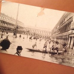 IMG_9095.jpgのサムネール画像